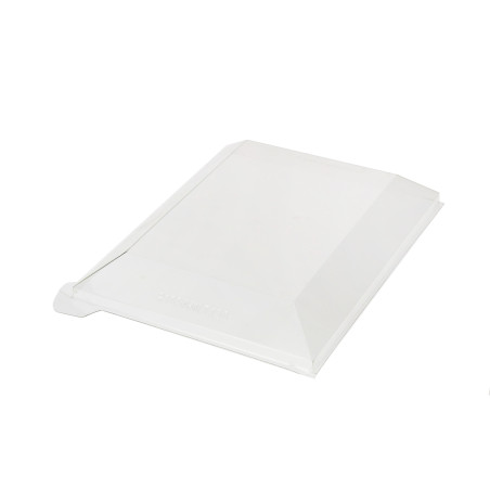 Coperchio di Plastica PET 38x27,4cm (50 Pezzi)