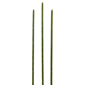 Spiedi di Bambu Verde Naturale 150mm (200 Pezzi)