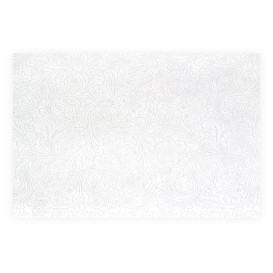 Tovaglietta Non Tessuto PLUS Bianco 30x40cm (500 Pezzi)