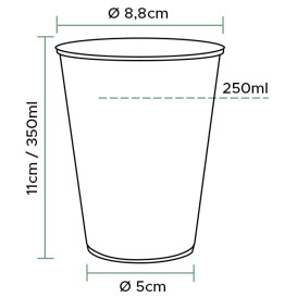 Bicchiere di Plastica PP Trasparente 350 ml (50 Pezzi)