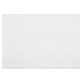 Tovaglietta Non Tessuto Bianco 35x50cm 50g (500 Pezzi)