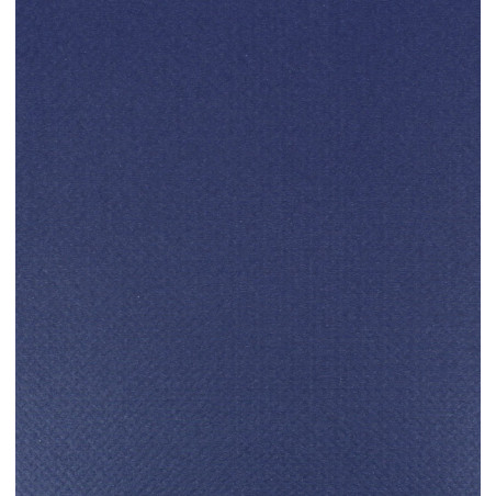 Tovaglia di Carta Rotolo  Blu 1x100m. 40g (1 Unità)