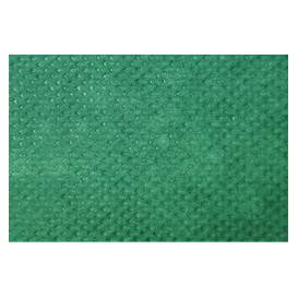 Tovaglia Non Tessuto 40x100cm Verde 50g (500 Pezzi)