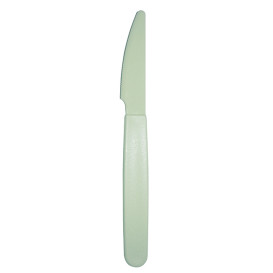 Coltello Riutilizzabile Durevole PP Verde 18,5cm (180 Pezzi)