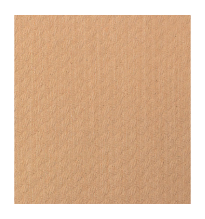 Tovaglia di Carta Rotolo Salmone 1x100m 40g (1 Unità)