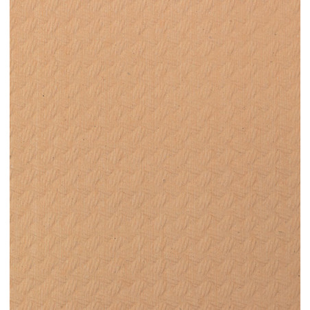 Tovaglia di Carta Rotolo Salmone 1x100m 40g (1 Unità)