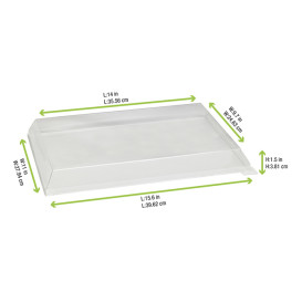 Coperchio di Plastica PET 38x27,4cm (50 Pezzi)