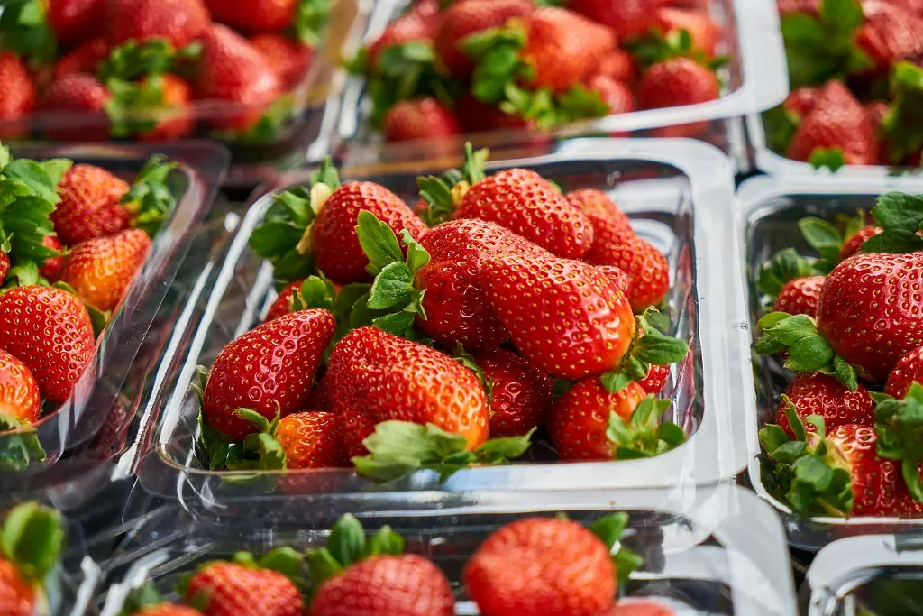 Contenitori per alimenti freddi da asporto